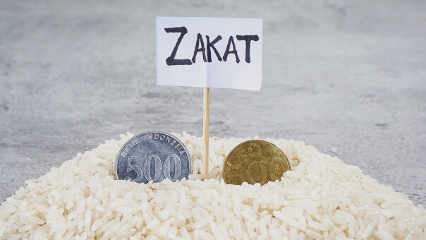 Campaign Image